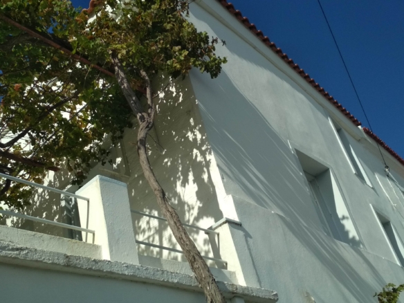 Apikia. House 65,05 m2 with celar 86,24 m2
