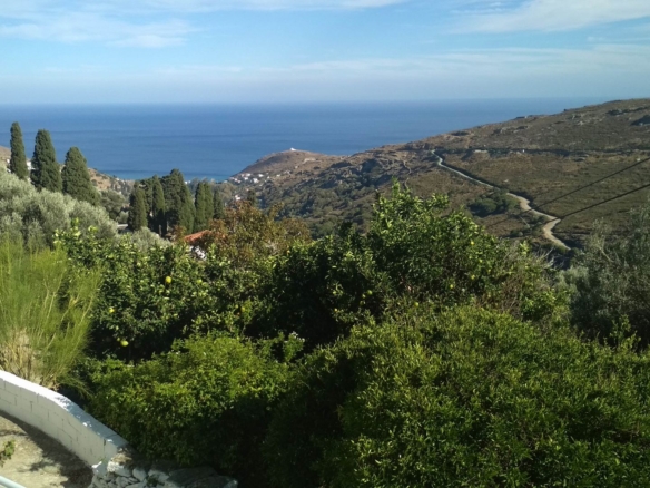 Apikia. House 65,05 m2 with celar 86,24 m2