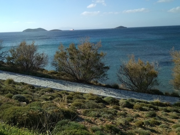 Γαύριο-Λιόπεσι. Τα καλύτερα 24.890 τ.μ. που φθάνουν μέχρι τη θάλασσα.