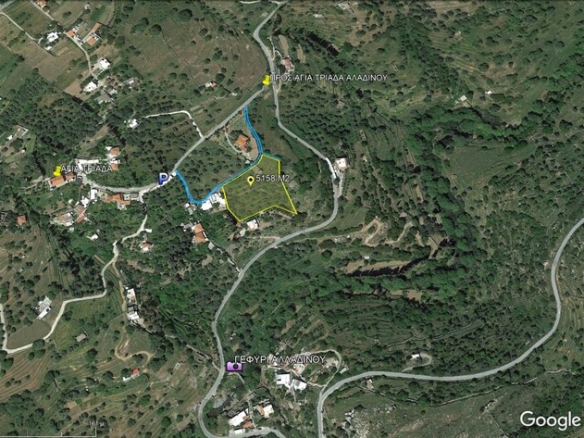 Messaria-Aladino, 5.158 sq.m with stone building 76.80 sq.m, 38 olive trees, threshing floor and dovecote