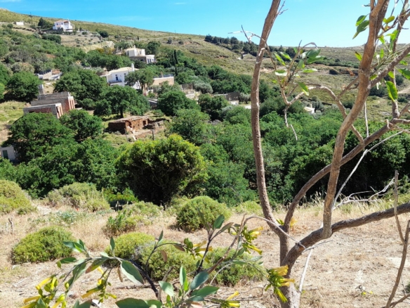 Χώρα Άνδρου, Φυρρόη, 27.749 τ.μ με κτίρια 264 τ.μ. με 2 γεωτρήσεις, πηγάδι και ελιές!