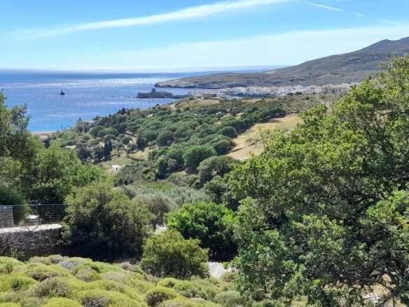 Χώρα Άνδρου, Φυρρόη, 27.749 τ.μ με κτίρια 264 τ.μ. με 2 γεωτρήσεις, πηγάδι και ελιές!