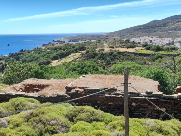 Χώρα Άνδρου, Φυρρόη, 27.749 τ.μ με κτίρια 264 τ.μ. με 2 γεωτρήσεις, πηγάδι και ελιές!
