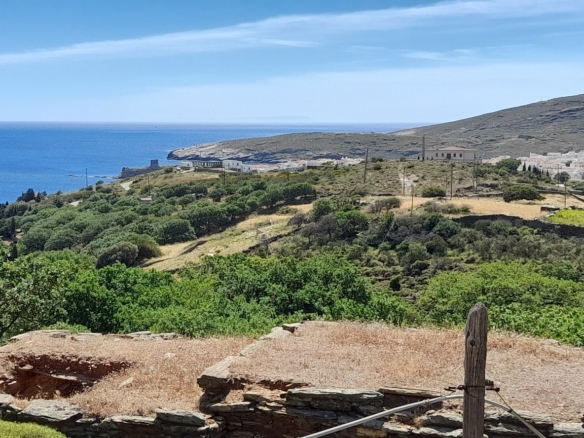 Χώρα Άνδρου, Φυρρόη, 27.749 τ.μ με κτίρια 264 τ.μ. με 2 γεωτρήσεις, πηγάδι και ελιές!