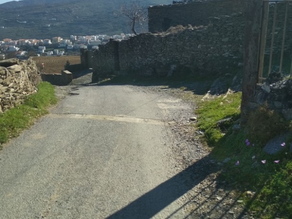 Land 12.043 sq.m. in Chora Andros with well and drill