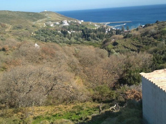 Land 12.043 sq.m. in Chora Andros with well and drill