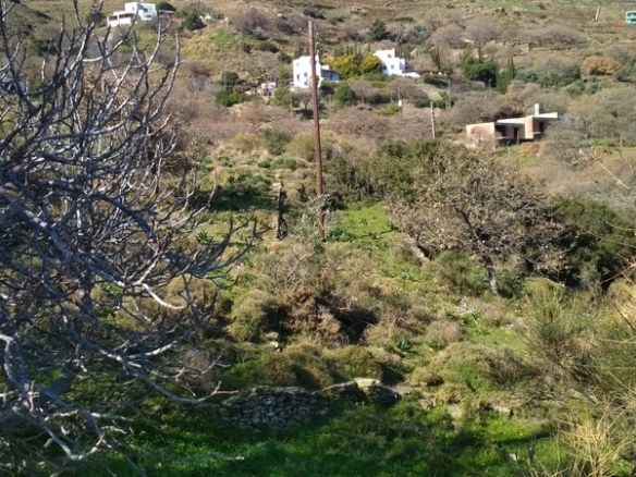 Land 12.043 sq.m. in Chora Andros with well and drill