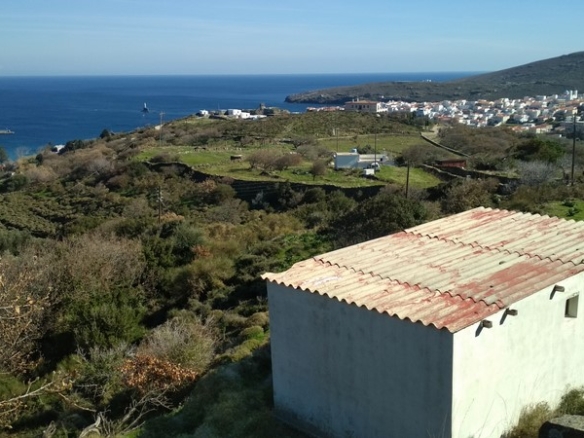 Land 12.043 sq.m. in Chora Andros with well and drill