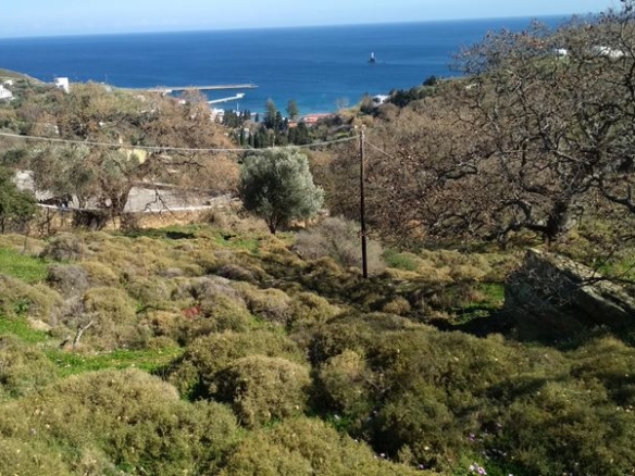 Χώρα Άνδρου, Φυρρόη, 27.749 τ.μ με κτίρια 264 τ.μ. με 2 γεωτρήσεις, πηγάδι και ελιές!