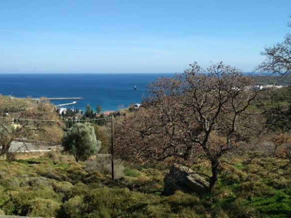 Χώρα Άνδρου, Φυρρόη, 27.749 τ.μ με κτίρια 264 τ.μ. με 2 γεωτρήσεις, πηγάδι και ελιές!