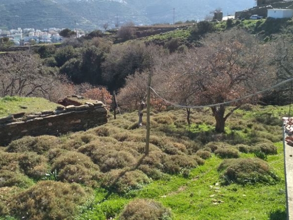 Χώρα Άνδρου, Φυρρόη, 27.749 τ.μ με κτίρια 264 τ.μ. με 2 γεωτρήσεις, πηγάδι και ελιές!