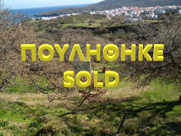 Land 12.043 sq.m. in Chora Andros with well and drill