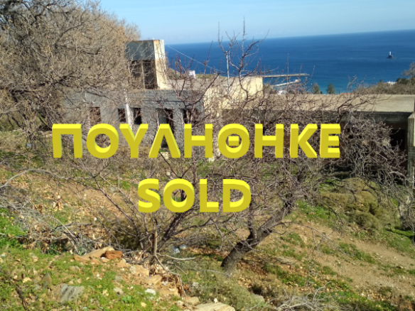 Chora Andros. Land 27.749 sq.m with 264 sq.m. buildings, 2 drillings, wel, and olive trees