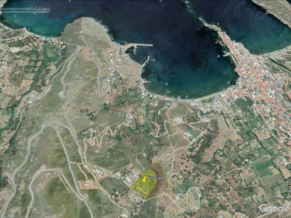 Χώρα Άνδρου, Φυρρόη, 27.749 τ.μ με κτίρια 264 τ.μ. με 2 γεωτρήσεις, πηγάδι και ελιές!