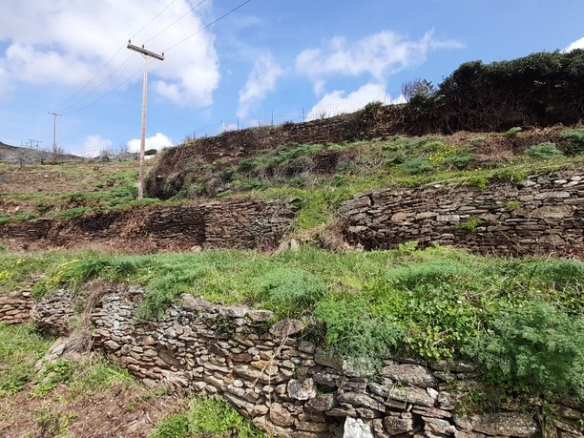 Land 1850.32 m2 buildable with a nice far sea view