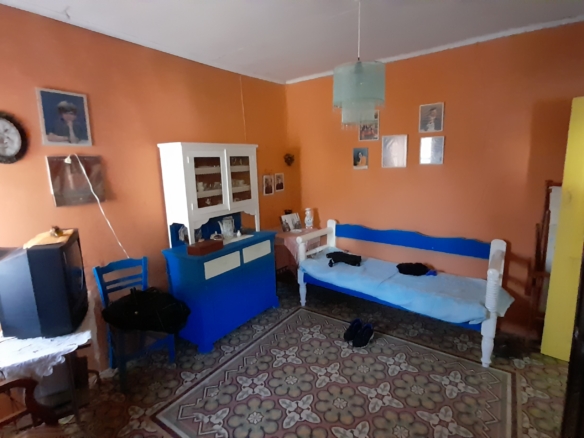 Andros-Apikia. House 280.49 m2 on 835.44 m2 land, with irrigation water, cistern and seaview.