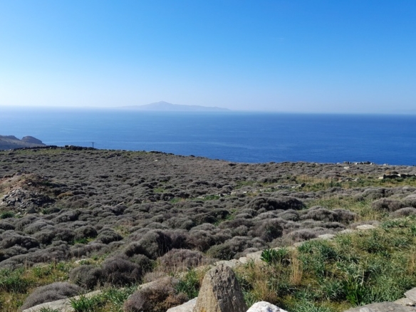 Σταυροπέδα. Χαλκολιμιώνας. 20.083 m2, με 3 κελιά, 2 αλώνια και εξαιρετική θέα στη θάλασσα.