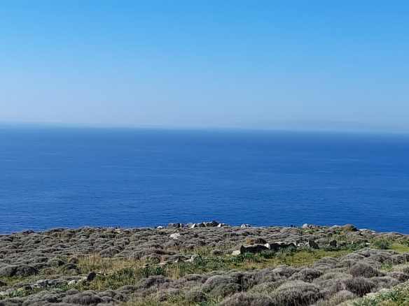 Σταυροπέδα. Χαλκολιμιώνας. 20.083 m2, με 3 κελιά, 2 αλώνια και εξαιρετική θέα στη θάλασσα.