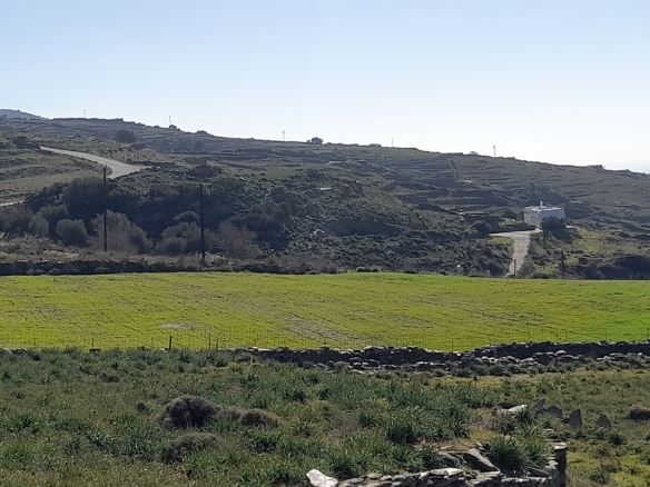 Σταυροπέδα. Χαλκολιμιώνας. 20.083 m2, με 3 κελιά, 2 αλώνια και εξαιρετική θέα στη θάλασσα.