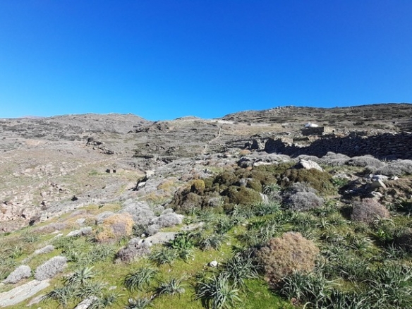 Σταυροπέδα. Χαλκολιμιώνας. 20.083 m2, με 3 κελιά, 2 αλώνια και εξαιρετική θέα στη θάλασσα.