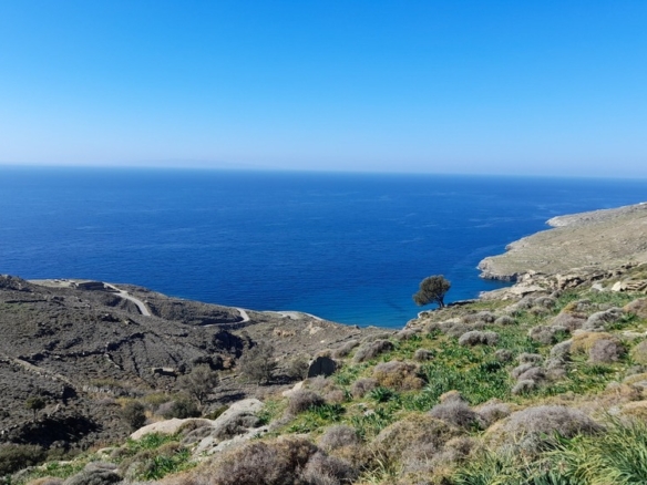 Σταυροπέδα. Χαλκολιμιώνας. 20.083 m2, με 3 κελιά, 2 αλώνια και εξαιρετική θέα στη θάλασσα.