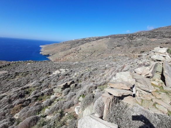 Σταυροπέδα. Χαλκολιμιώνας. 20.083 m2, με 3 κελιά, 2 αλώνια και εξαιρετική θέα στη θάλασσα.