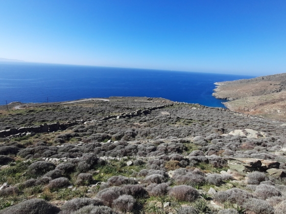 Σταυροπέδα. Χαλκολιμιώνας. 20.083 m2, με 3 κελιά, 2 αλώνια και εξαιρετική θέα στη θάλασσα.