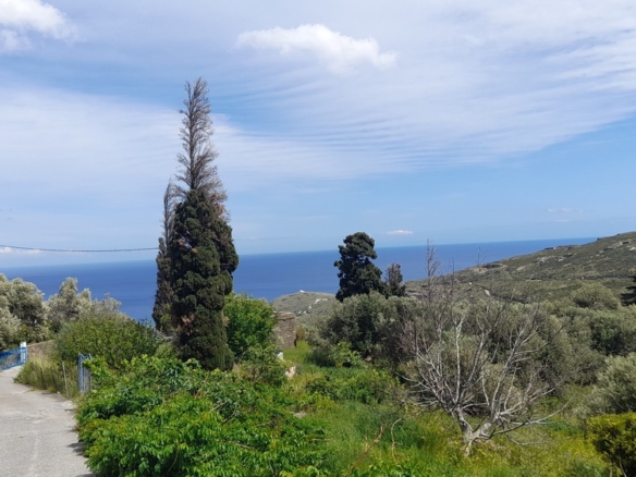 Andros-Apikia. House 280.49 m2 on 835.44 m2 land, with irrigation water, cistern and seaview.