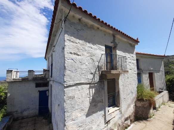 Andros-Apikia. House 280.49 m2 on 835.44 m2 land, with irrigation water, cistern and seaview.