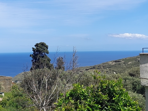 Andros-Apikia. House 280.49 m2 on 835.44 m2 land, with irrigation water, cistern and seaview.