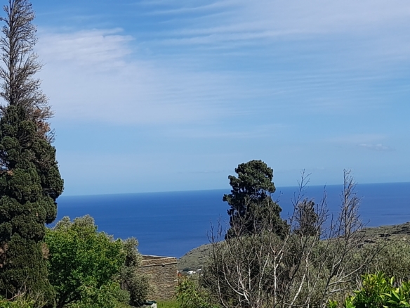 Andros-Apikia. House 280.49 m2 on 835.44 m2 land, with irrigation water, cistern and seaview.