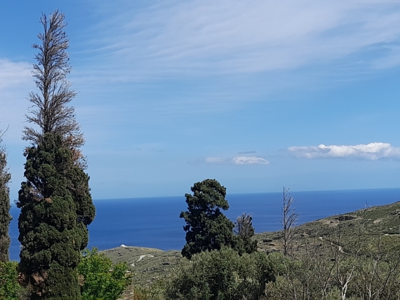 Andros-Apikia. House 280.49 m2 on 835.44 m2 land, with irrigation water, cistern and seaview.