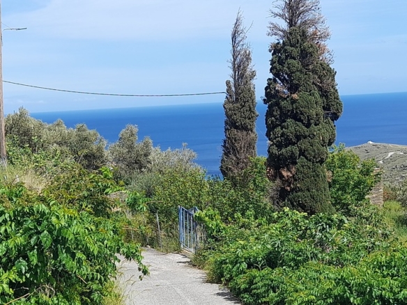 Andros-Apikia. House 280.49 m2 on 835.44 m2 land, with irrigation water, cistern and seaview.