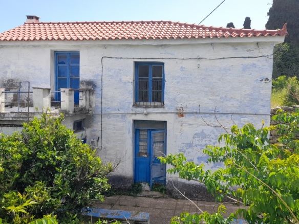 Andros-Apikia. House 280.49 m2 on 835.44 m2 land, with irrigation water, cistern and seaview.