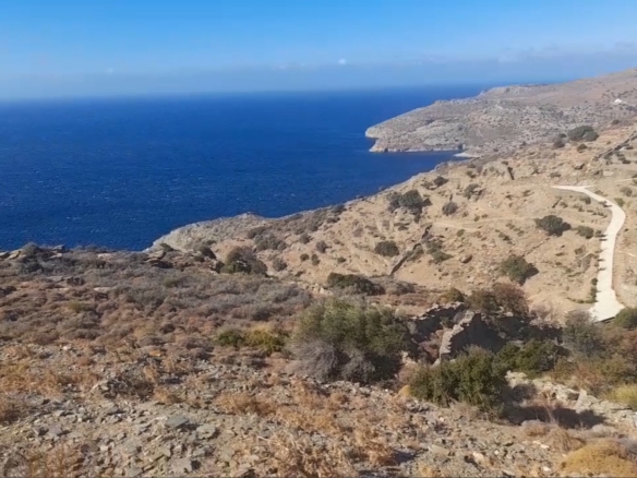 Καπαριά. Περιοχή Πλάκα. Αγροτεμάχιο 9.839,70 m2 με ωραία θέα θάλασσα.