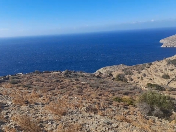 Καπαριά. Περιοχή Πλάκα. Αγροτεμάχιο 9.839,70 m2 με ωραία θέα θάλασσα.