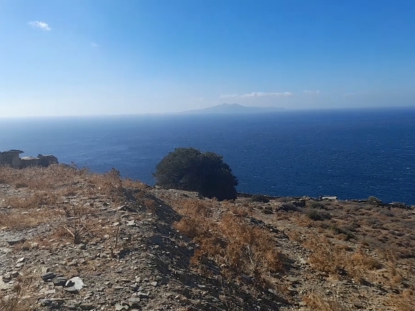 Καπαριά. Περιοχή Πλάκα. Αγροτεμάχιο 9.839,70 m2 με ωραία θέα θάλασσα.