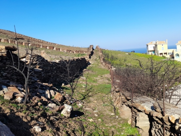 Υψηλού: Με εξαιρετική θέα στη θάλασσα & στη Χώρα της Άνδρου 9.750,45 m2 με κελί 14,09 m2 και αλώνι.
