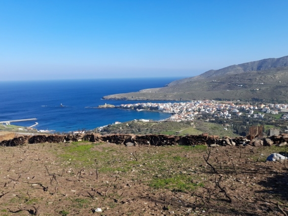 Υψηλού: Με εξαιρετική θέα στη θάλασσα & στη Χώρα της Άνδρου 9.750,45 m2 με κελί 14,09 m2 και αλώνι.