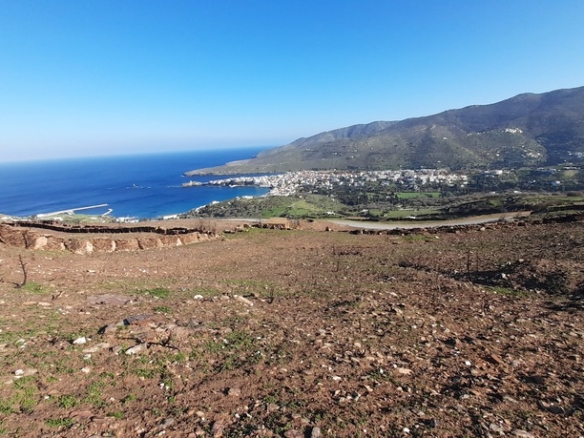 Υψηλού: Με εξαιρετική θέα στη θάλασσα & στη Χώρα της Άνδρου 9.750,45 m2 με κελί 14,09 m2 και αλώνι.