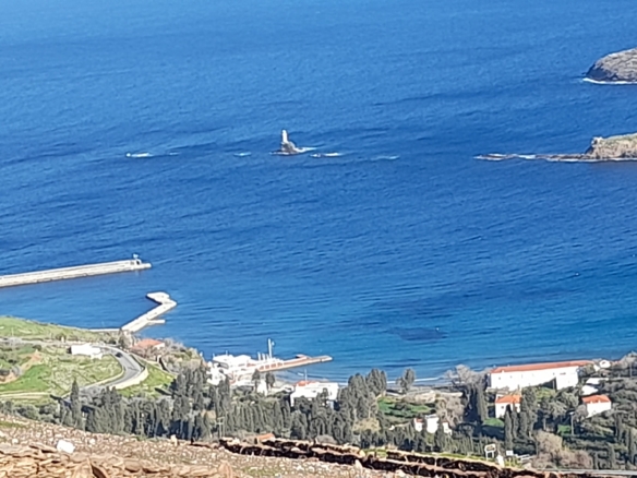 Υψηλού: Με εξαιρετική θέα στη θάλασσα & στη Χώρα της Άνδρου 9.750,45 m2 με κελί 14,09 m2 και αλώνι.