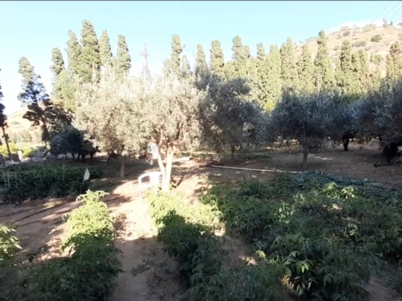 Λιβάδια. ΕΝΤΟΣ οικισμού κτήμα 5.542 m2 οικοδομήσιμο, με γεώτρηση και νερό