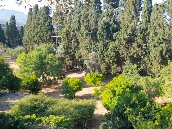 Λιβάδια. ΕΝΤΟΣ οικισμού κτήμα 5.542 m2 οικοδομήσιμο, με γεώτρηση και νερό