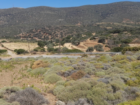 Μπατσί. Οικοδομήσιμα 4.329 m2 με εντυπωσιακή θέα στη θάλασσα.