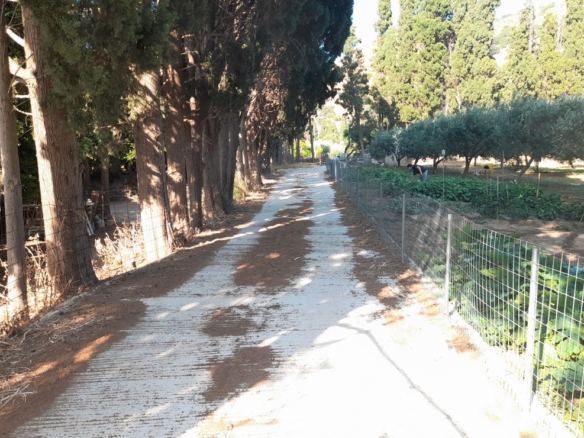 Λιβάδια. ΕΝΤΟΣ οικισμού κτήμα 5.542 m2 οικοδομήσιμο, με γεώτρηση και νερό