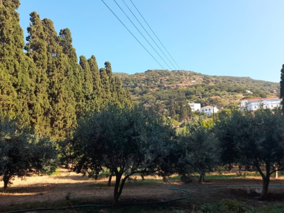 Λιβάδια. ΕΝΤΟΣ οικισμού κτήμα 5.542 m2 οικοδομήσιμο, με γεώτρηση και νερό