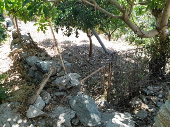 Στενιές. Οικόπεδο 232 m2 οικοδομήσιμο με οπωροφόρα δένδρα και ποτιστικό νερό