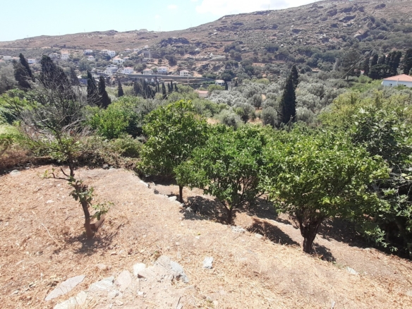Στενιές. Οικόπεδο 232 m2 οικοδομήσιμο με οπωροφόρα δένδρα και ποτιστικό νερό