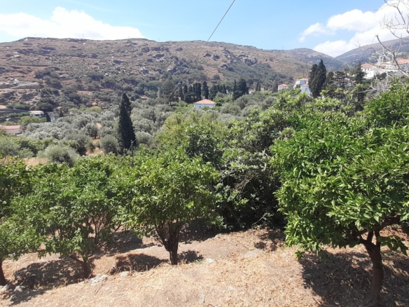 Στενιές. Οικόπεδο 232 m2 οικοδομήσιμο με οπωροφόρα δένδρα και ποτιστικό νερό