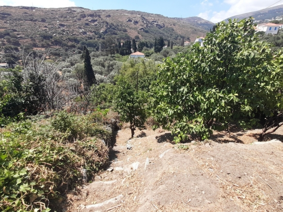 Στενιές. Οικόπεδο 232 m2 οικοδομήσιμο με οπωροφόρα δένδρα και ποτιστικό νερό